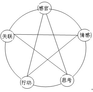 [二次曝光]——那些你不知道的[小而美]